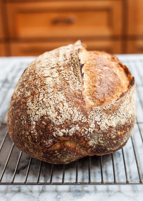 eat real sourdough bread for living longer life Trendy Pins
