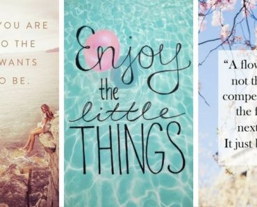 22 quotes to summarize the wisdom about life