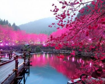 Most beautiful places