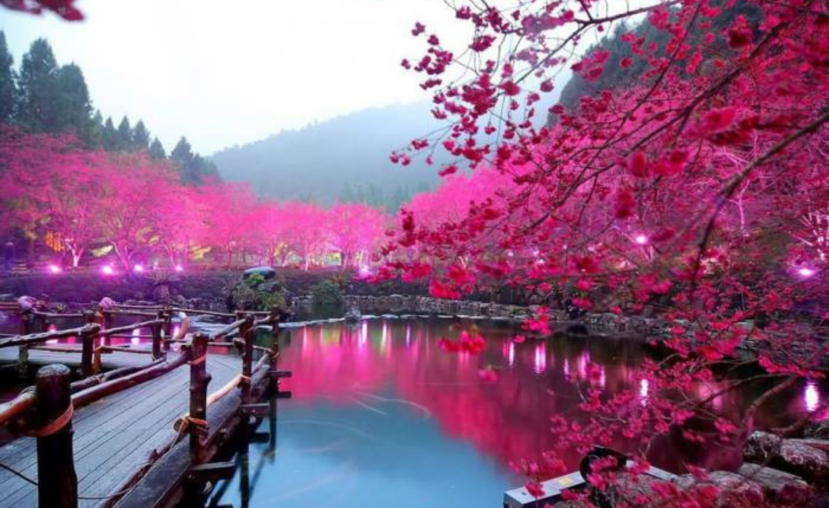 pic Most Beautiful Places In The World To Live 22 most beautiful places in the world