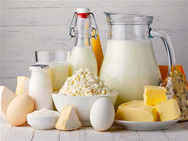Dairy Products #healthy living #belly fat #foods #trendypins