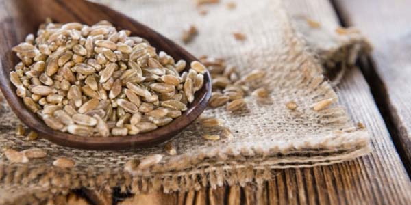 Farro #healthy living #belly fat #foods #trendypins