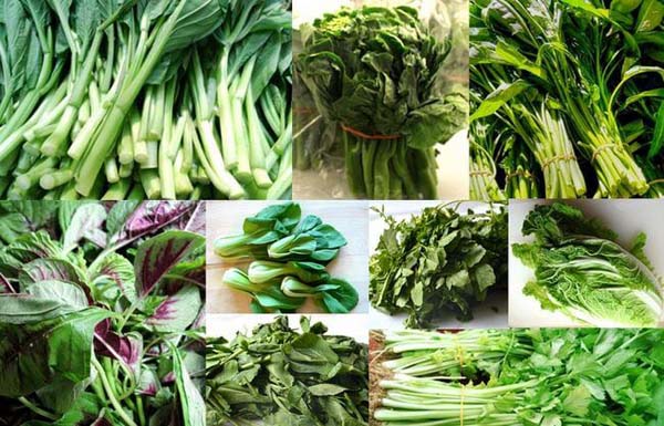 Spinach And Other Green Vegetables #healthy living #belly fat #foods #trendypins