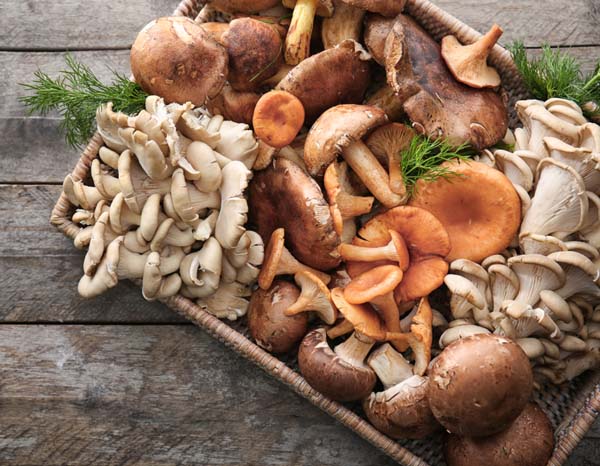 Mushrooms#healthy living #belly fat #foods #trendypins