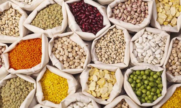 Pulses #healthy living #belly fat #foods #trendypins