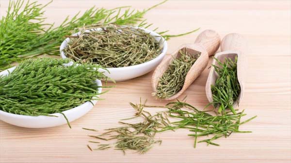 Horsetail Extract For A Strong And Healthy Hair #hair #hairstyles #trendypins