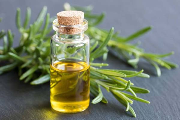 Rosemary Oil For A Strong And Healthy Hair #hair #hairstyles #trendypins