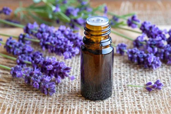 Lavender Oil For A Strong And Healthy Hair #hair #hairstyles #trendypins