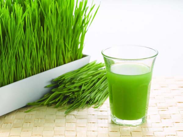 Wheatgrass For A Strong And Healthy Hair #hair #hairstyles #trendypins