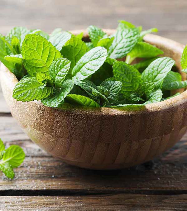 Crushed Mint Leaves To Get Rid Of Dark Circles Under Eyes #dark circles under eyes #beauty #trendypins