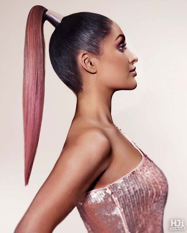 Sleek High Ponytail