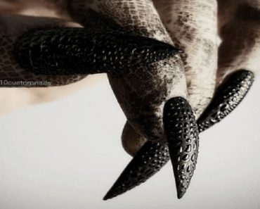 Matte Black Halloween Design With a Snake Skin Motives