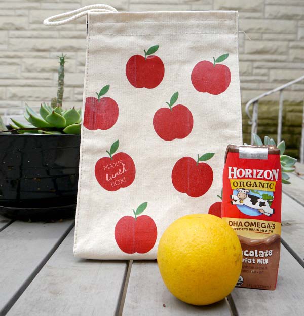 DIY Reusable Lunch Bag #DIY #Christmas #gifts #trendypins