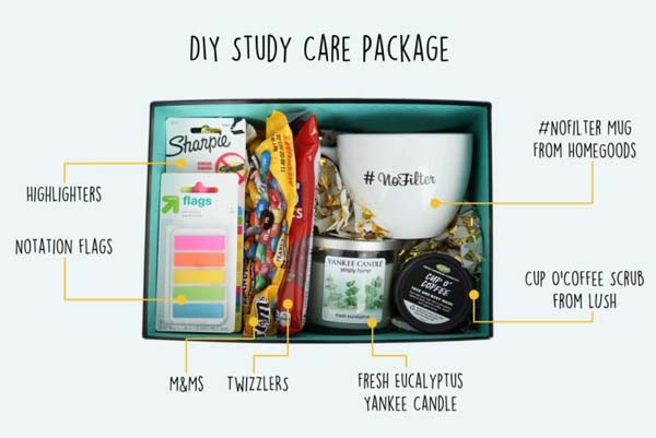 Study Care Package #DIY #Christmas #gifts #trendypins