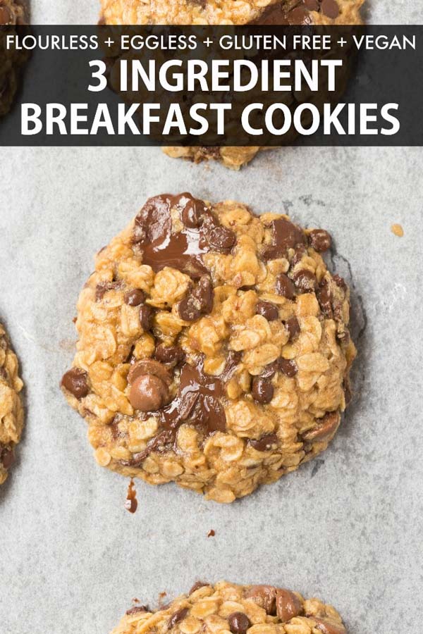 Healthy 3 Ingredient Oatmeal Breakfast Cookies #meal #pantry #plan #trendypins