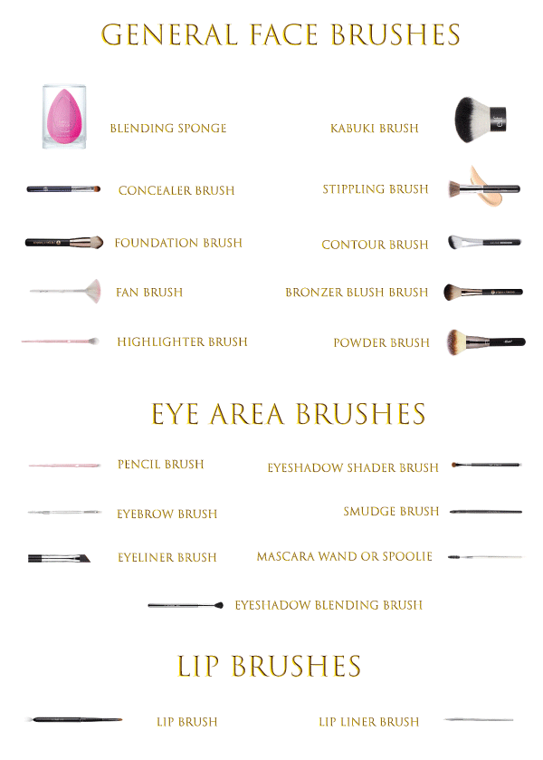 Makeup Brushes Names #makeup #beauty #trendypins