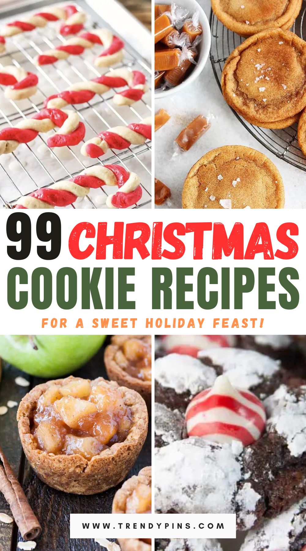 Dive into the magic of the season with our extraordinary collection of 200 amazing Christmas cookie recipes, guaranteed to sweeten your festive celebrations. Click to explore a world of delightful flavors, and transform your holiday baking into a cookie wonderland!