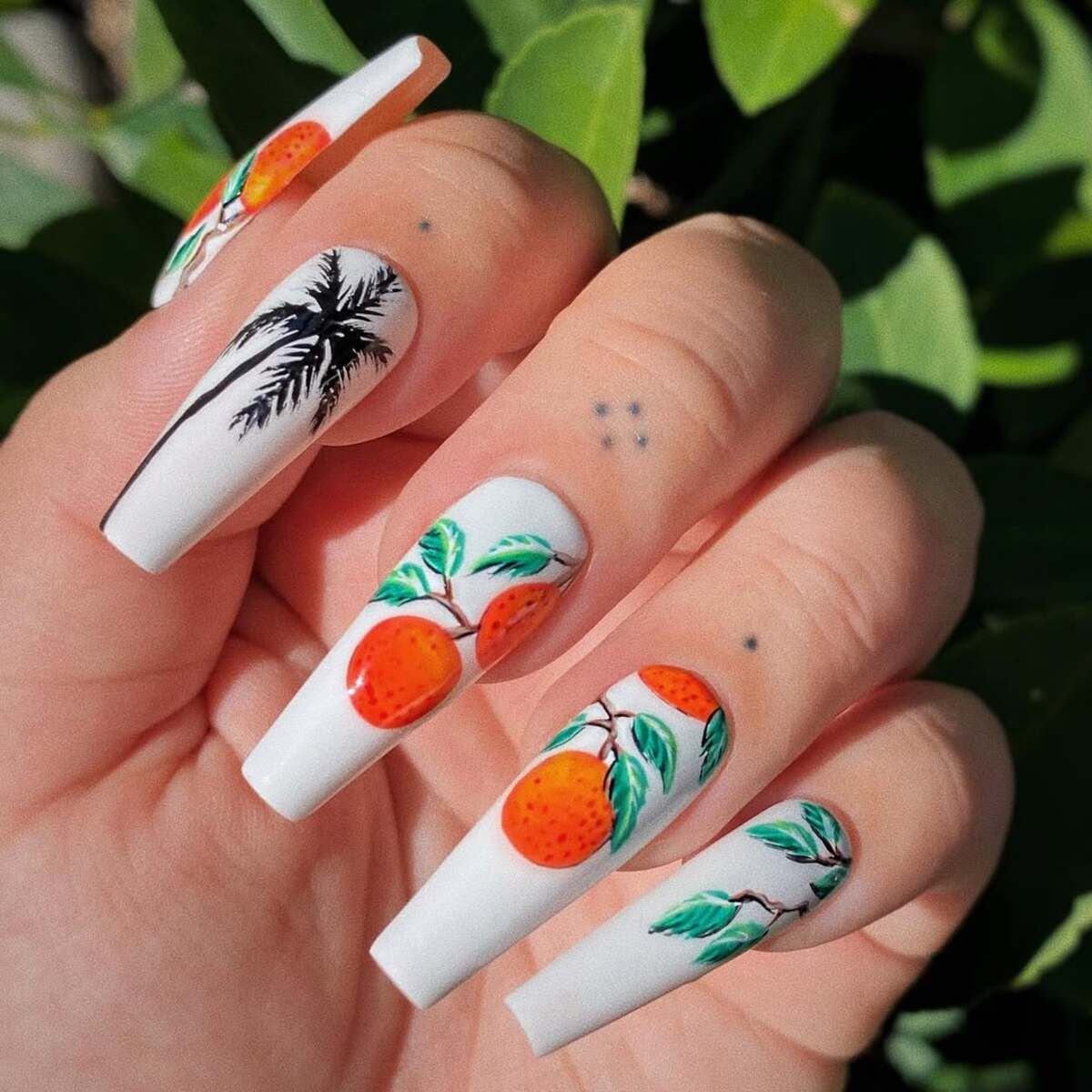 24. Tropical Orange Grove