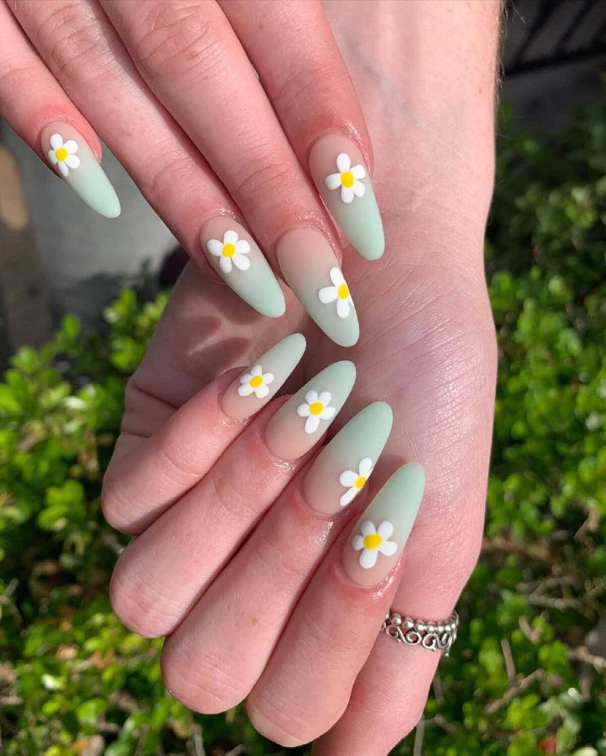 10. Pastel Sage Green with Simple Daisy Accents