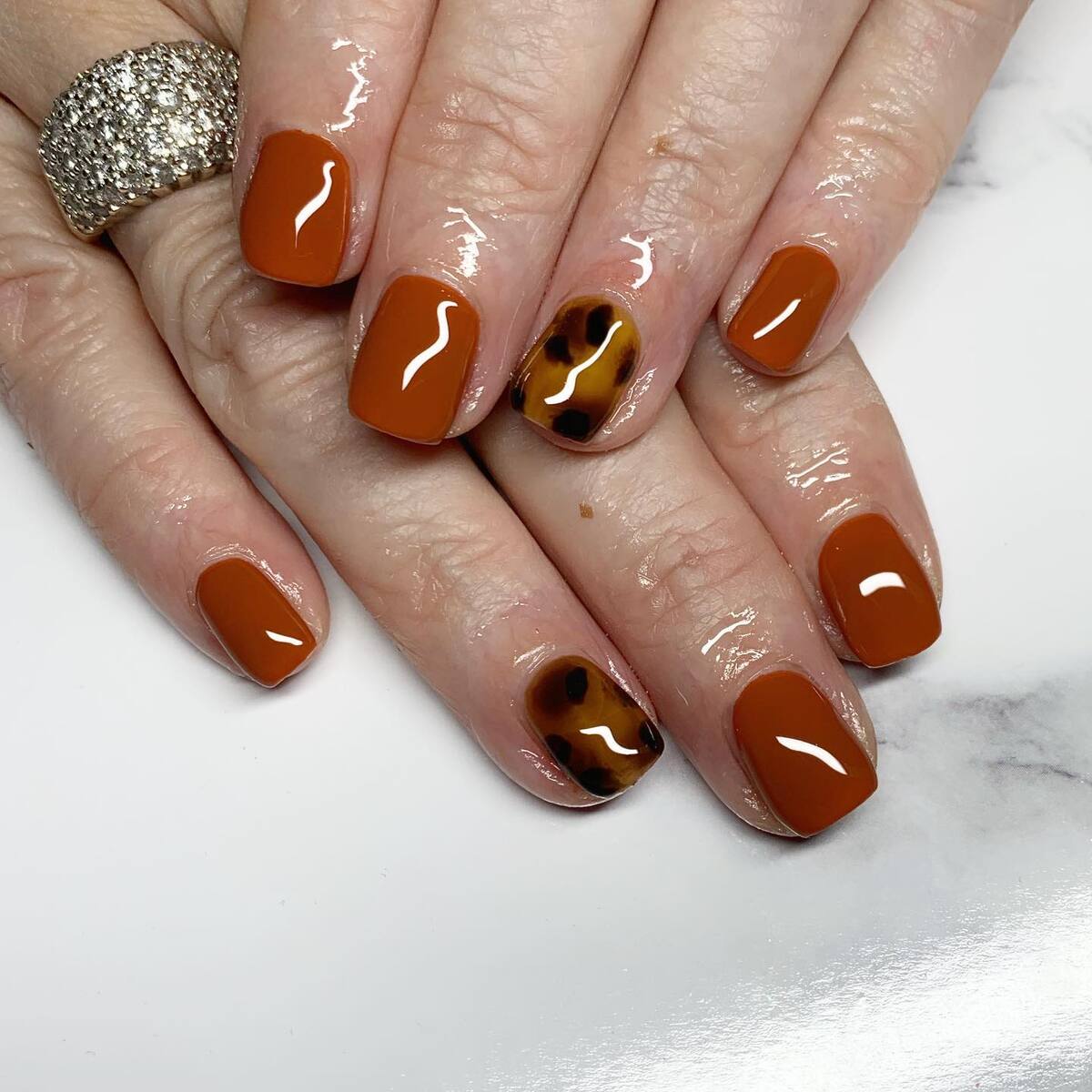 18. Warm Terracotta with a Tortoiseshell Twist